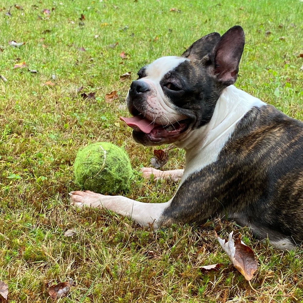 Meet your Posher, Kaitlyn